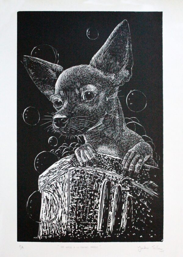 Eine Reise nach Matías Pérez