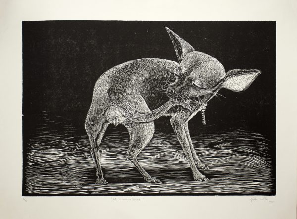 Mein ungeschickter Nachbar