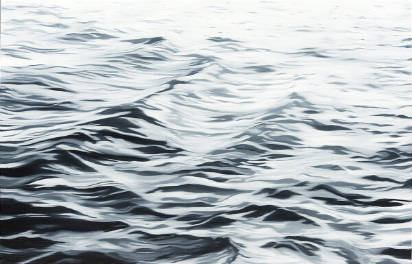 23° 08 ́47.81”N 81° 51 ́ 38.65 "W