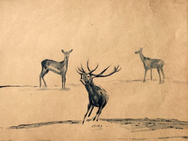 From the series Persecution