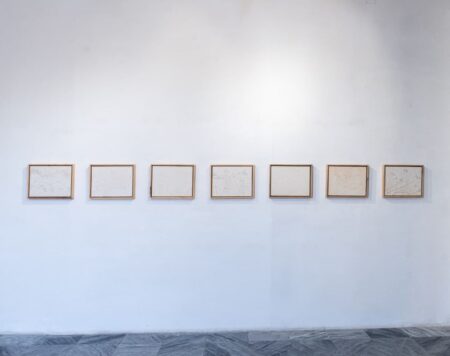 Notas botánicas para una migración descontrolada