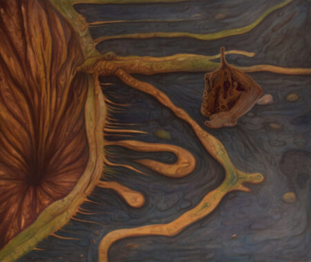 solo bajo las estrellas