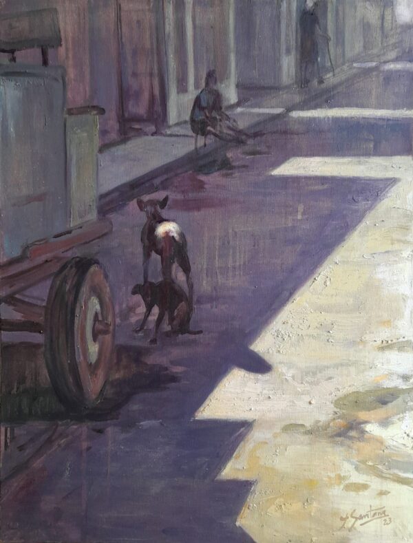 Tranquilidad ciudadana