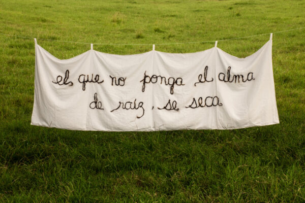 ohne dass die Seele tief verwurzelt ist, einer schrumpft