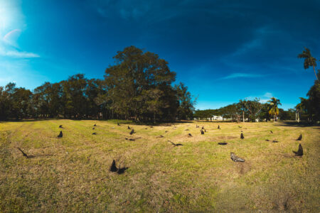Los pensamientos son libres